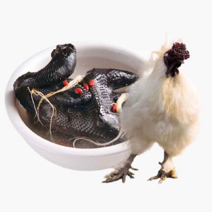 Đặc Điểm Gà Ác